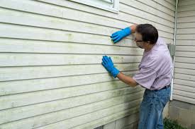 Best Aluminum Siding Installation  in Olivarez, TX